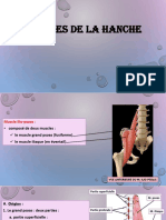 Muscles de La Hanche