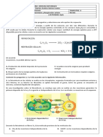 Quiz Sobre Fotosíntesis y Respiración Celular