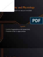 Anatomy and Physiology: Overview of Organ Systems