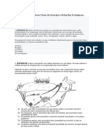 Lista de Exercícios Fluxo de Energia e Relações Ecológicas