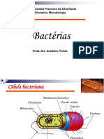 Aula de Microbiologia - Bacaterias