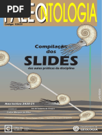 Slides: Compilação Dos