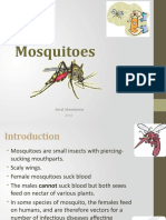 Mosquitoes: Amal Almuhanna 2012