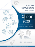 Punción Suprapúbica: Cirex 2020