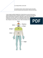 Investigación