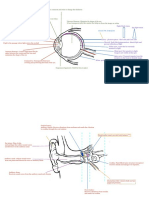 Coordination and Response. PT3 2022