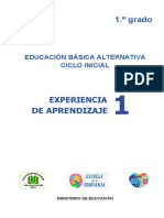 Experiencia de Aprendizaje Nro 01 CEBA INICIAL 1 - Primer Grado