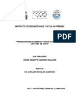 Instituto Tecnológico de Tuxtla Gutiérrez: "Producción de Carbón Activado A Partir de La CÁ Scara de Coco"