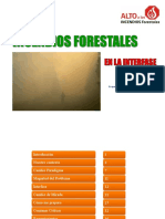 Power Point Prevencion de Incendios