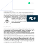 NST-sociologia-classes Sociais