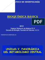 Bioquímica Básica: Dagmar Stojanovic de Malpica PH D Escuela de Biología, Facultad de Ciencias, U.C.V