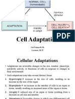 Cell Adaptation: Gul Fatima/R.Ph Lecturer, SICP