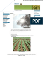 Agrometeorology Solar Radiation and Plant Growth