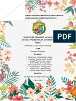 Seminario - Puerperio Patologíco