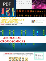 Anomalías Cromosómicas Y Mutaciones: Romina Del Rosario Casas Janampa Dra. Ada Del Carpio Sánz