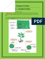 8.1 - Transport in Plants