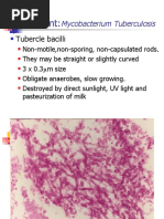 The Agent:: Mycobacterium Tuberculosis