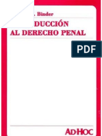 Introduccion Al Derecho Penal - Alberto Binder