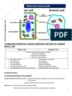 Comparison Between A Plant (Palisade) Cell and An Animal (Liver) Cell