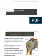 Sistema Articular Aula 4 - 230405 - 230214