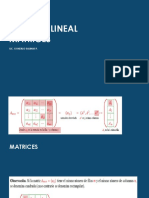 Álgebra Lineal Matrices: Lic. Gonzalo Salinas P