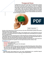 Lecture 8 Temporal and Infratemporal Fossa