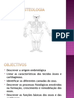 Aula de Anatomia Iscisa - Osteologia