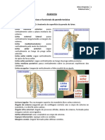 Anatomia Dispneia