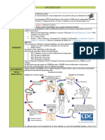 ONCOCERCOSIS