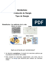 Metabolismo Producción de Energía Tipos de Energía