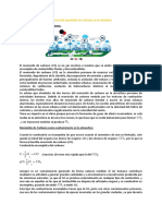 Efectos en El Ambiente Por Contaminacion CO