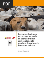 Recomendaciones Estratégicas Hacia La Sostenibilidad Ambiental en La Producción Primaria de Carne Bovina