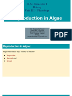 Reproduction in Algae 4