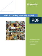 Tema 3 Cultura y Diversidad Cultural