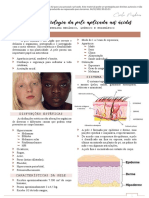 Anatomia e Fisiologia Da Pele Aplicada Aos Ácidos: Sistema Tegumentar