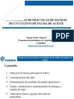 Integración Practicas DFMV