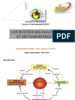 Les Roches Magmatique Et Metamorphique: Travaux Pratique Licence Professionnelle R2MV