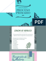 Proceso Primario de Concha de Abanico