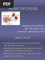 Hematopoyesis: Asignatura:Hematología I Msc. Mercedes Tapia. Carrera de Laboratorio Clínico