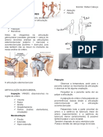 Resumo Membros Superiores