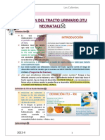 Infección Del Tracto Urinario (Itu Neonatal) : Neonatología Los Calientes