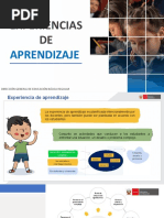 Diapositivas de Experiencias de Aprendizaje