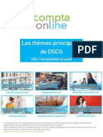 Les Thèmes Principaux de DSCG: UE4 Comptabilité Et Audit