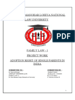 Family Law Project