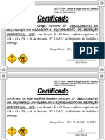 CERTIFICADO DE EPI EPC FAZENDA Limeira