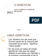 Lineas Geneticas