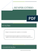 Guia de Estudo C.N 9º Ano - Sistema Respiratório