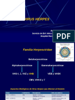 Herpes Virus y Varicela Zozter