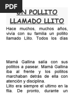 Un Pollito Llamado Llito