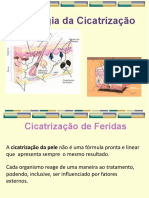 Fisiologia Da Cicatrização